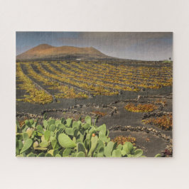 Pussel Landskap Lanzarote - Vineyard