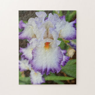 pussel - Lila Edite Vit Orchid