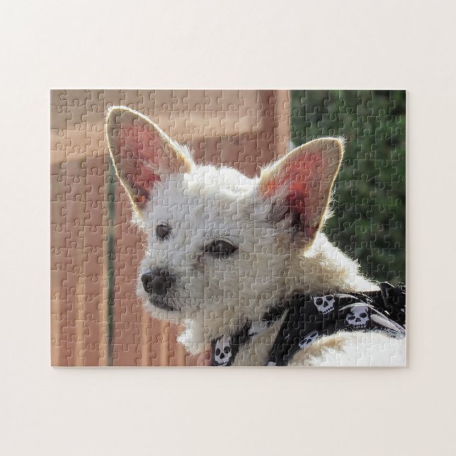 Pussel - liten vit Hund (Horisontell)