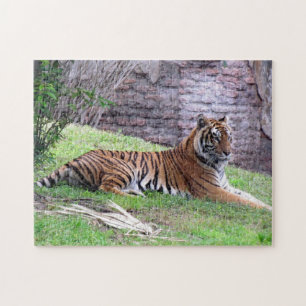 Pussel med bengaltiger