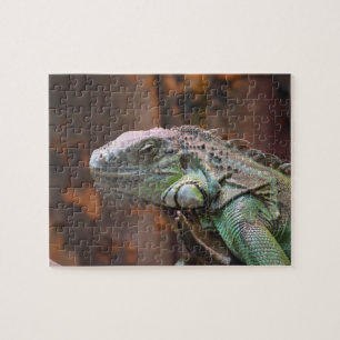 Pussel med färglös Iguana-ödla