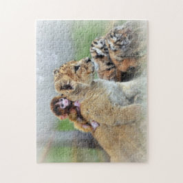 Pussel med gåvan boxas/tigrar och apan