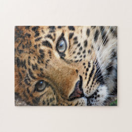 Pussel med Gift Box/Cheetah