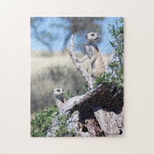 Pussel - Meerkat vaktposter