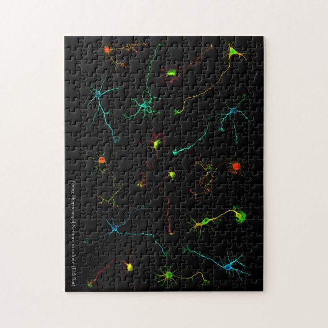 Pussel NeuroStage3 (Vertikal)