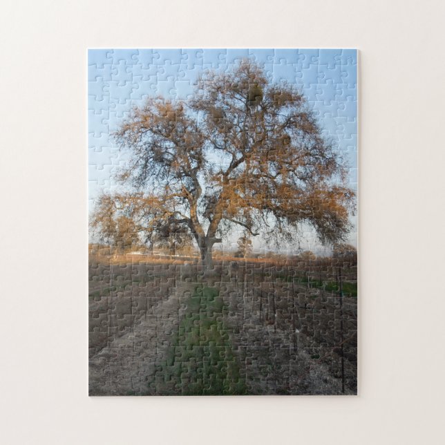 Pussel: OakinVineyard med mistletoen Pussel (Vertikal)