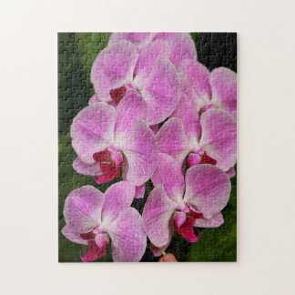 Pussel - Orchid