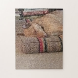 Pussel på ett foto av min hund, Hella :)