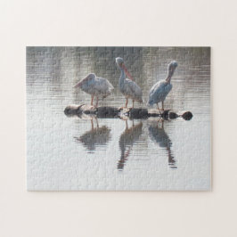 Pussel - Pelikaner och reflektioner