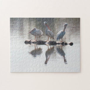 Pussel - Pelikaner och reflektioner