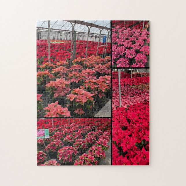 Pussel Poinsettia Växthus Röda Blommor (Vertikal)