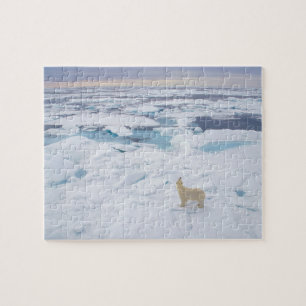Pussel-Polar-björn Pussel