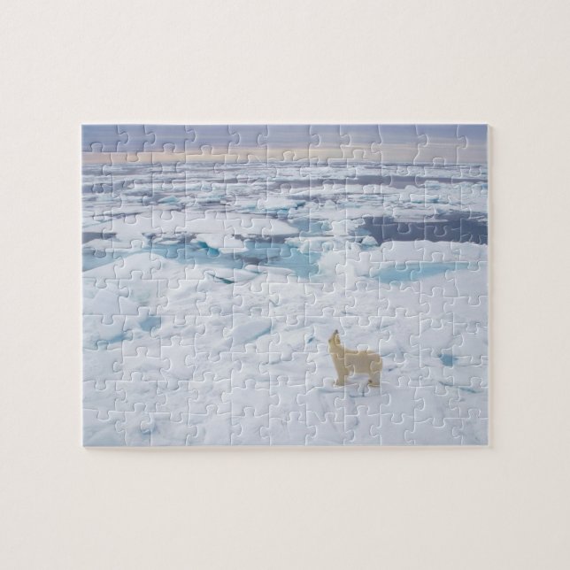 Pussel-Polar-björn Pussel (Horisontell)