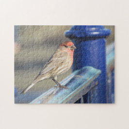 Pussel - röd Sparrow på blå staket
