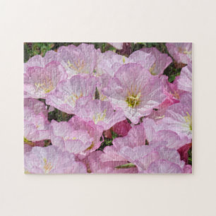 Pussel - Rosa Primrose