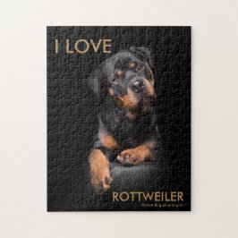 Pussel Rottweiler