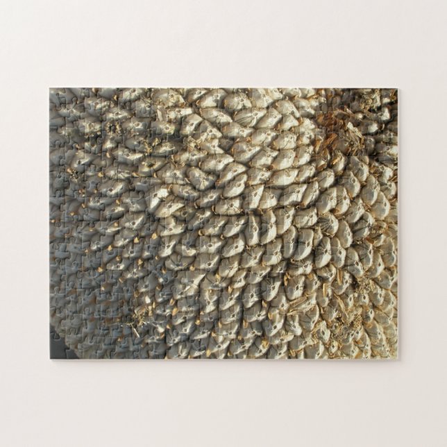 Pussel - Solrosutmaningar (Horisontell)