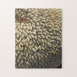 Pussel - Solrosutmaningar