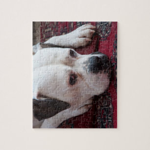 Pussel: White Boxer Hund Pussel