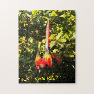 Pusselscarlet Macaw Pussel