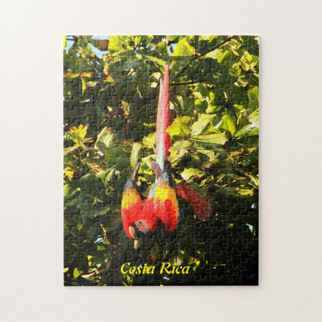 Pusselscarlet Macaw Pussel (Vertikal)