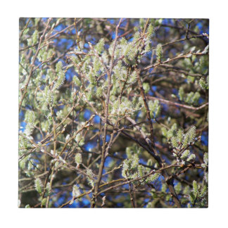 PUSSY WILLOW KAKELPLATTA