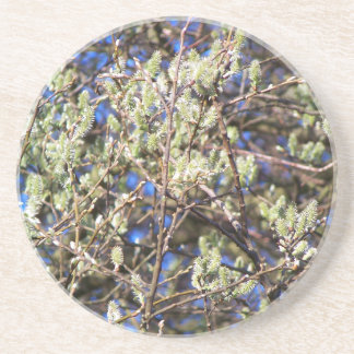 PUSSY WILLOW UNDERLÄGG