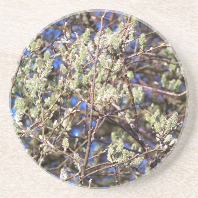 PUSSY WILLOW UNDERLÄGG (Framsidan)