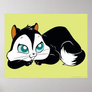 Pussyfoot Cute Kattunge Poster