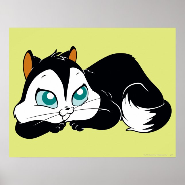 Pussyfoot Cute Kattunge Poster (Framsidan)
