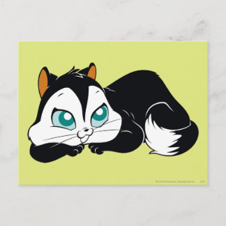 Pussyfoot Cute Kattunge Vykort