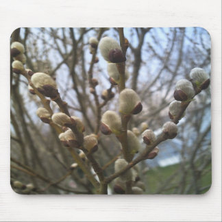 Pussypilmusen vadderar musmatta