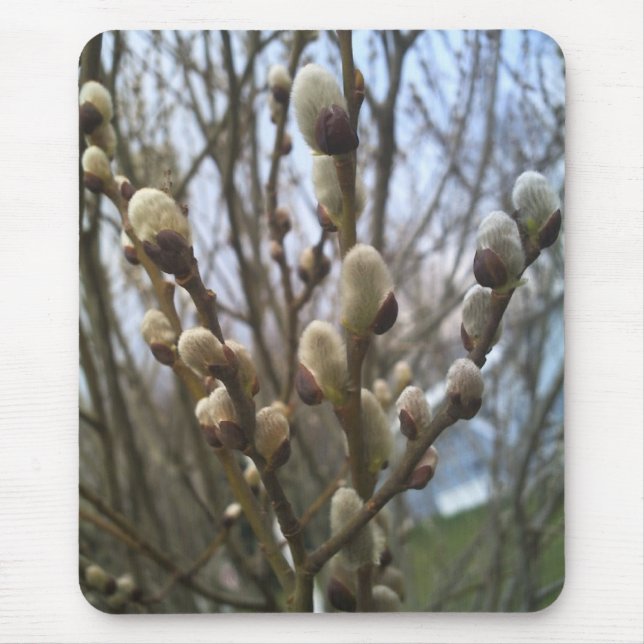 Pussypilmusen vadderar musmatta (Framsidan)