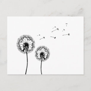 Pusteblume Vykort