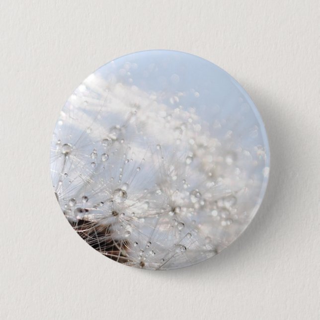 Pusteblumen Löwenzahn Himmelblau Fotografie Knapp (Framsida)