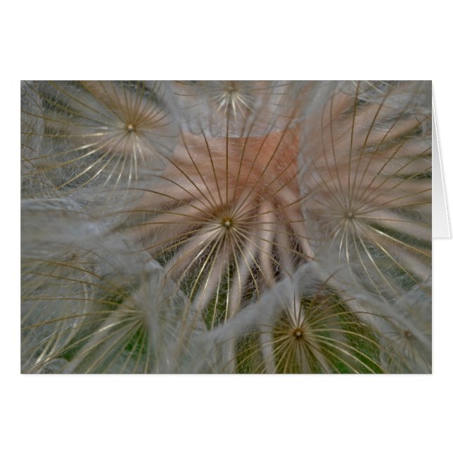 "Pusteblumen-Schirmchen" by mysteryella Hälsningskort (Framsidan Horizontal)