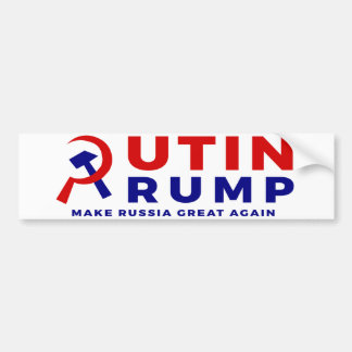 Putin/trumfbildekal Bildekal