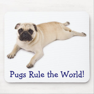 Putsregeln World Mousepad Musmatta