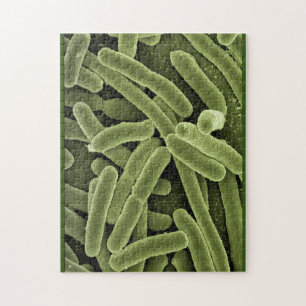 Puzzelbakterier e.coli microscopio pussel