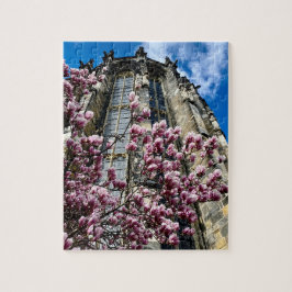 Puzzle Aachen Dom Magnolie Pussel