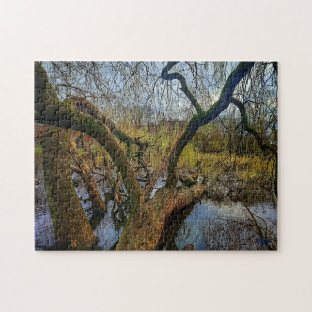 Puzzle “Árboles del agua – Parque en Ámsterdam” Pussel (Horisontell)