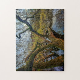 Puzzle “Árboles del agua – Parque en Ámsterdam” Pussel