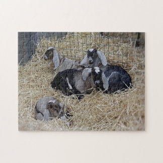 Puzzle Baby Goats Pussel