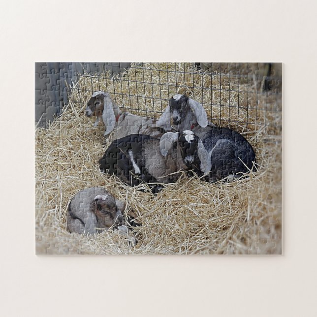 Puzzle Baby Goats Pussel (Horisontell)