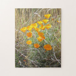 Puzzle - California Poppy Pussel