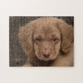 Puzzle - Cute Brown Puppy Pussel