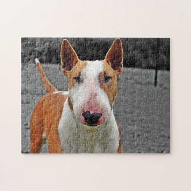 Puzzle - Design Bull Terrier Pussel (Horisontell)