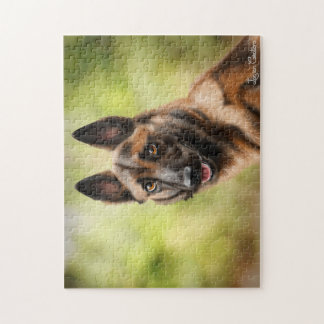 Puzzle Malinois Pussel