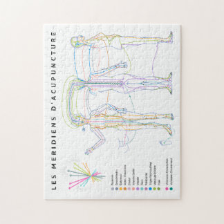 Puzzle Méridiens d'Acupuncture, médecine chinoise Pussel