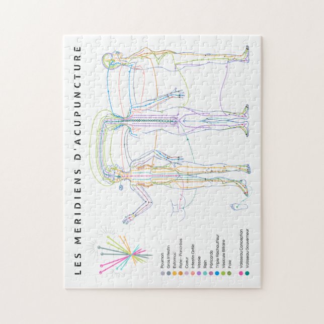Puzzle Méridiens d'Acupuncture, médecine chinoise Pussel (Vertikal)